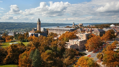 L’Université Cornell a adopté Genetec AutoVu Managed Services (AMS), le service de contrôle du stationnement hébergé dans le cloud, et a optimisé l'application des règles de stationnement.